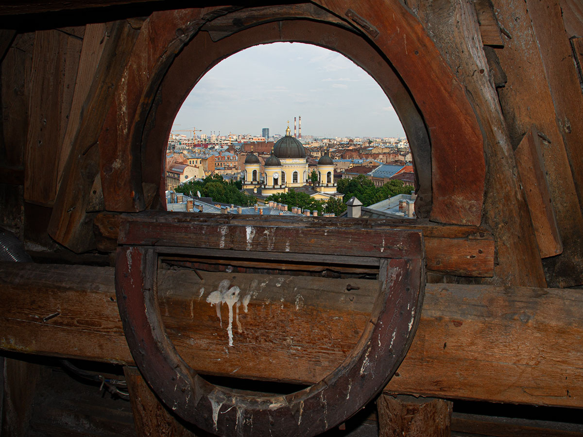  окно в башне Дома офицеров; птицы там бывают чаще )