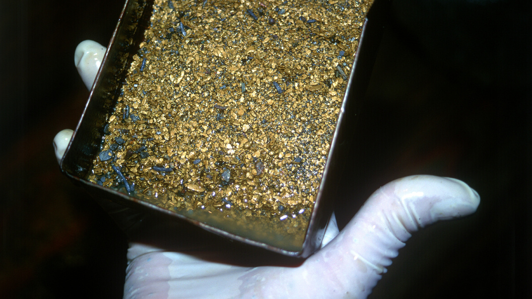    Aleksander Lyskin/Russian Look/Globallookpress