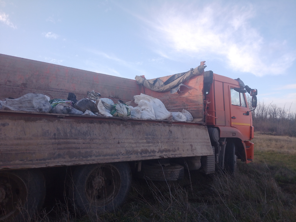 Вот оно - приободряющее и одновременно расстраивающее фото.