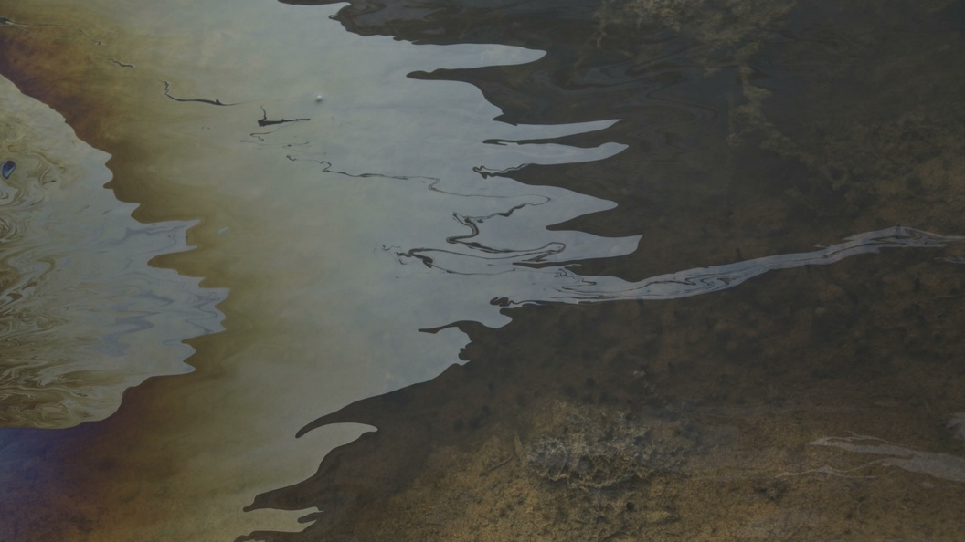    Nikolay Gyngazov/Russian Look/Globallookpress