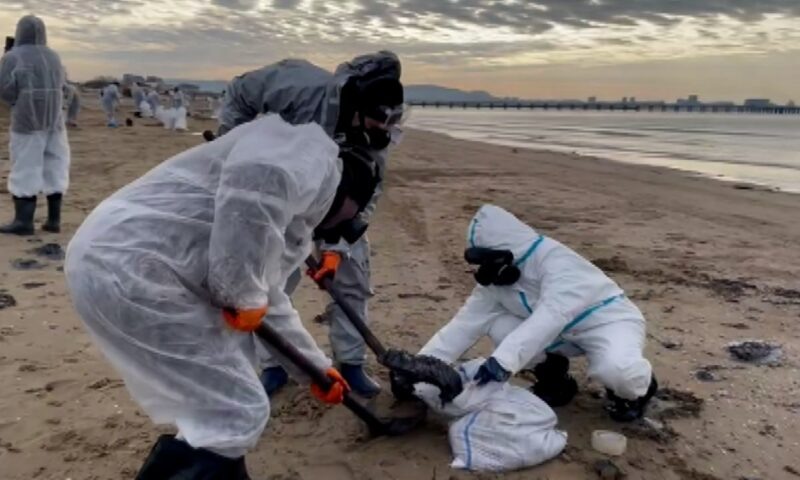    Видео канала «Кубань 24»