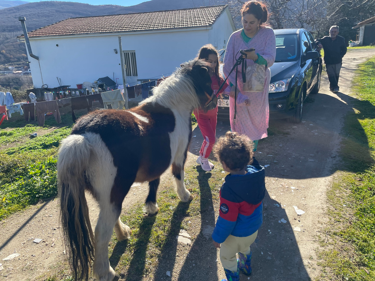 Фурия хорошо относится к детям, а дети вообще от нее в восторге