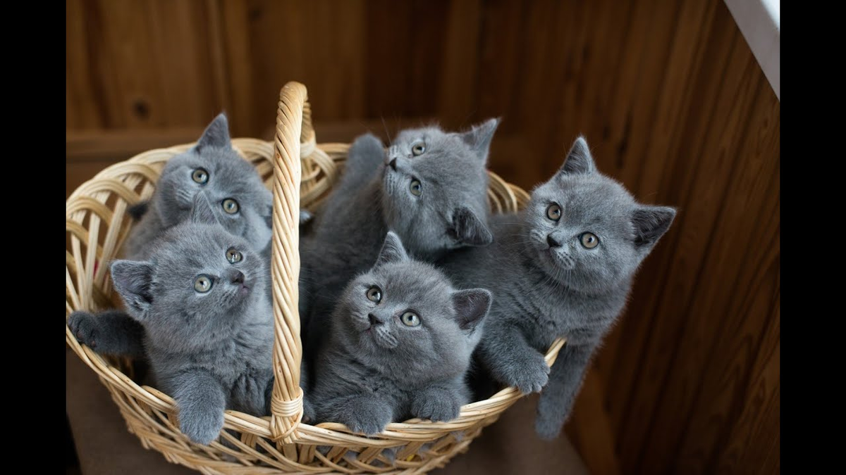 Подарок на Новый год