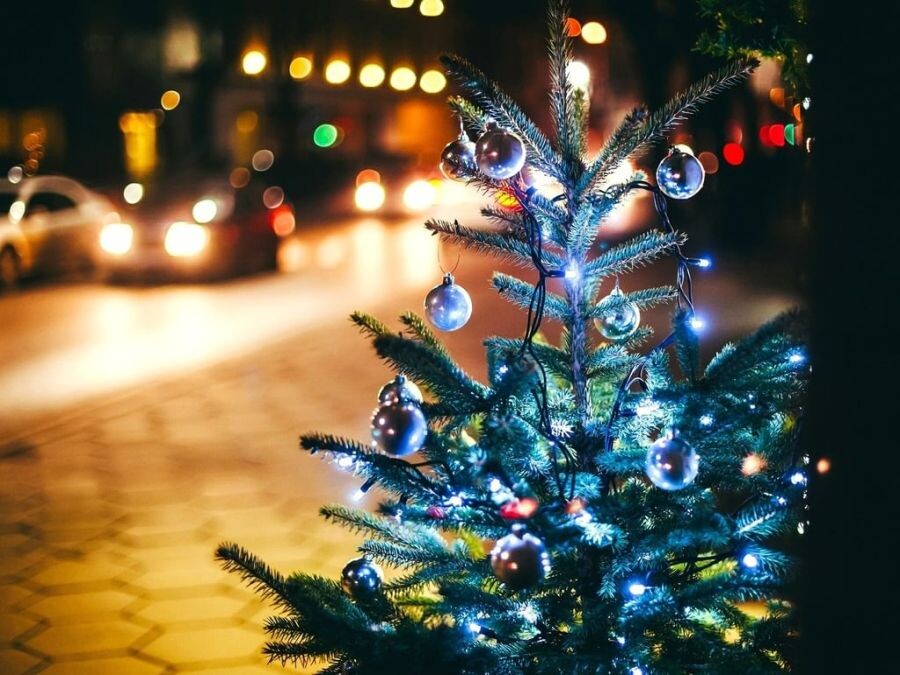 яндекс картинки