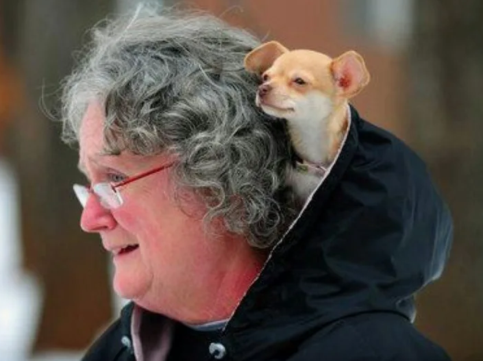 Фото с сайта za.pinterest.com