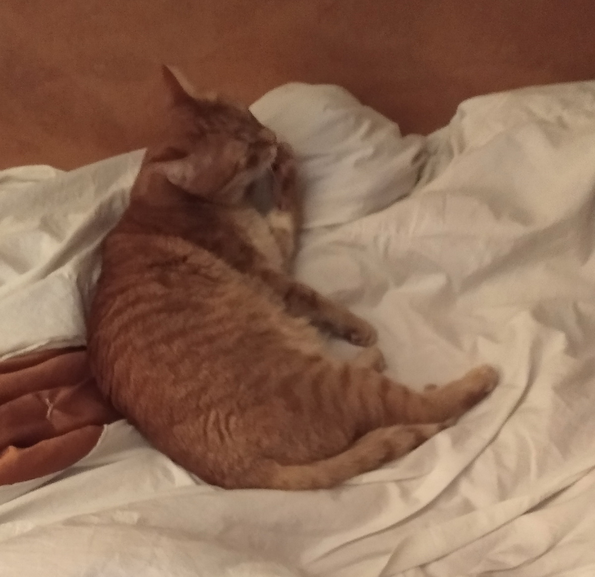 Личное фото.