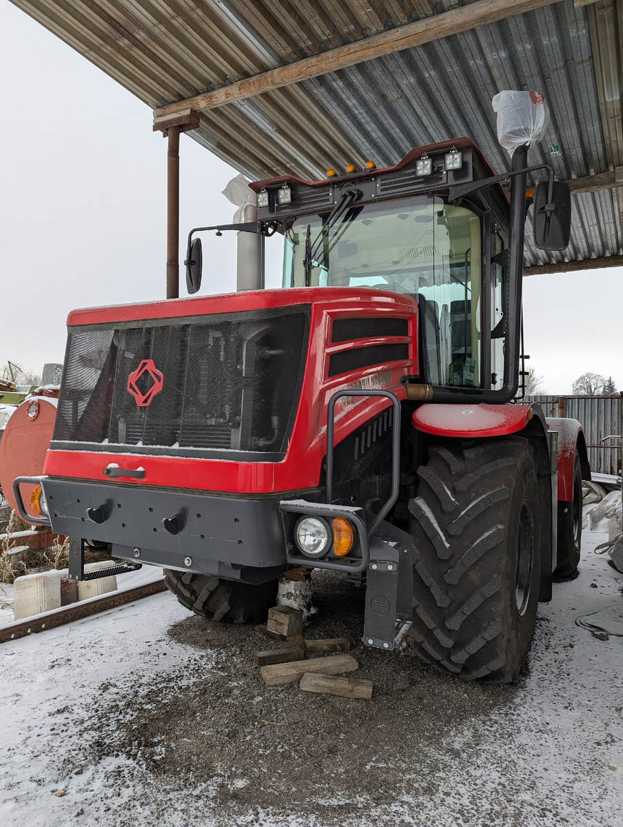 Наш красный на зимовке