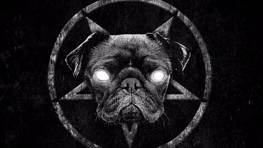 Pugtopsy