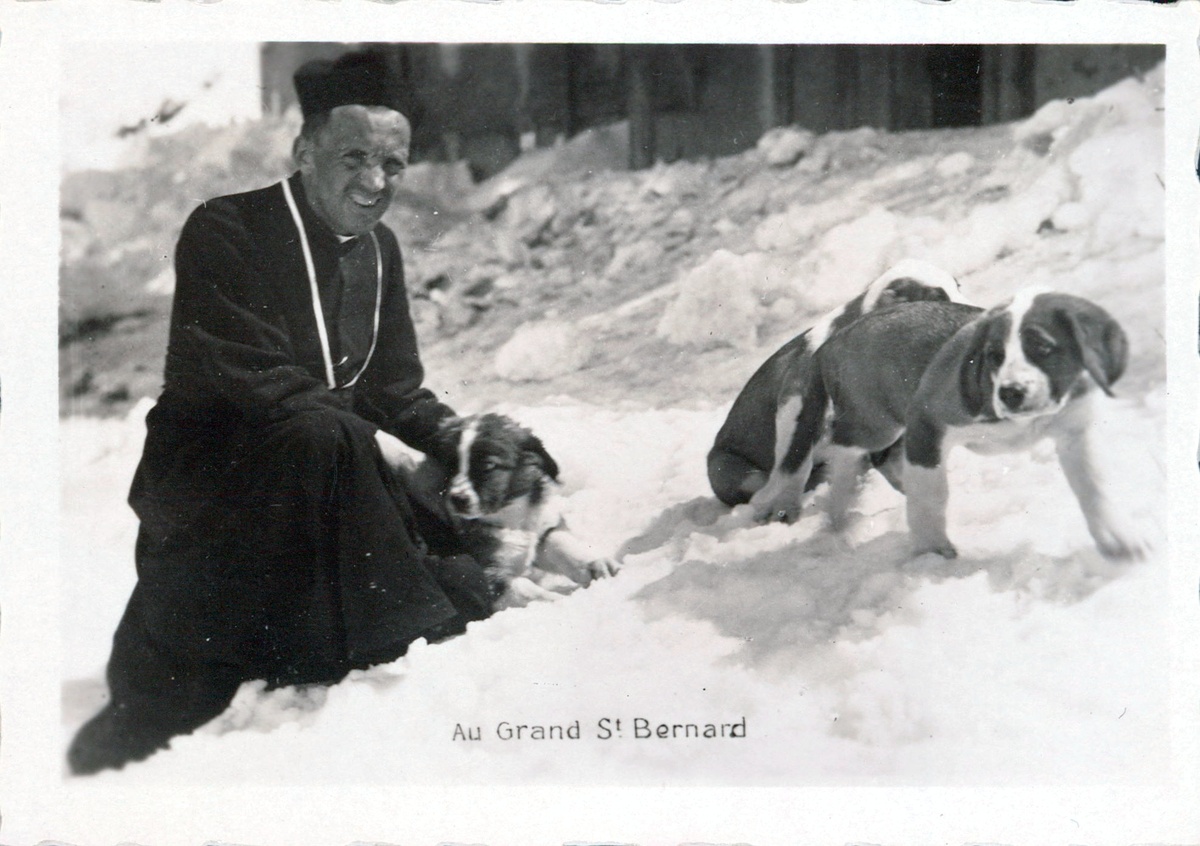 Монах из монастыря Святого Бернара со щенками – будущими спасателями