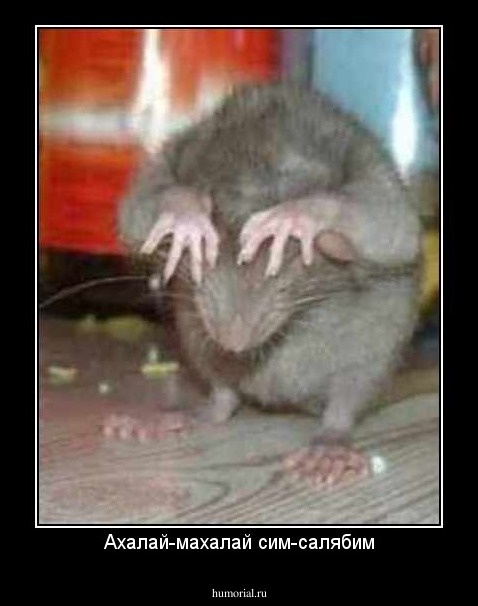 Картинка из свободных источников 