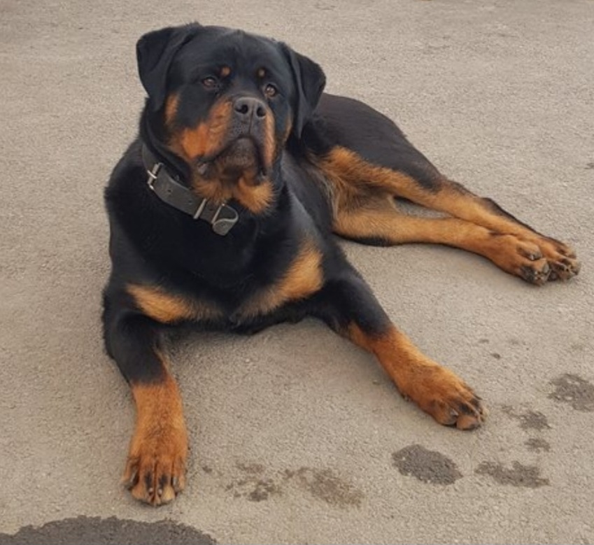 Ведь о чем-то же думает! 😃