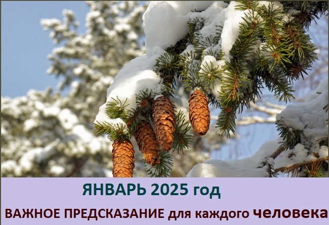 Нумерология, предсказания, прогноз, будущее, судьба, персональное число, 2025, январь