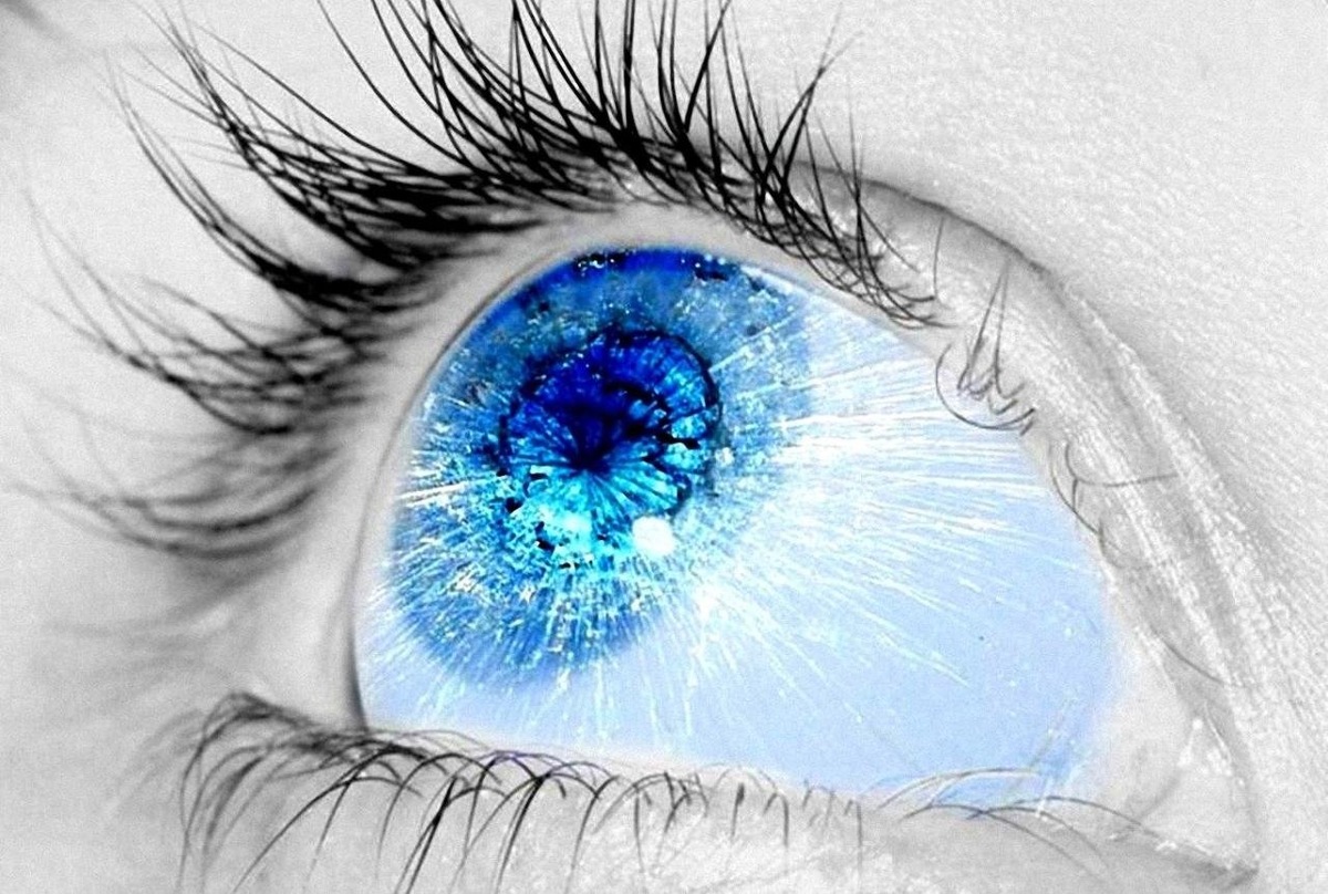 Яндекс. Картинки. 