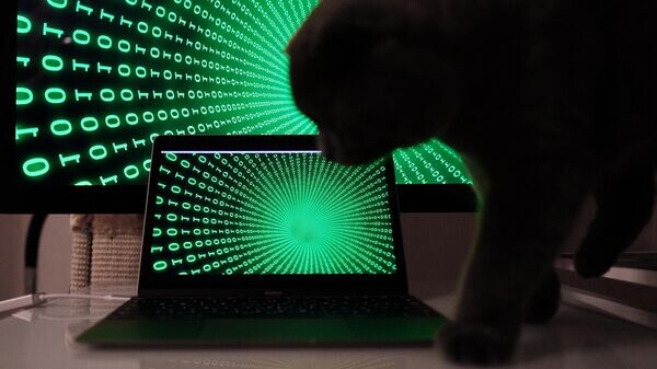    © РИА Новости . Наталья Селиверстова