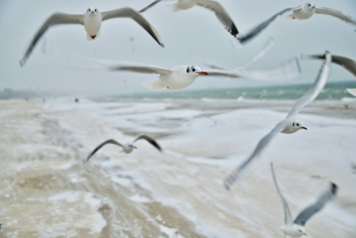 Фото: Unsplashed