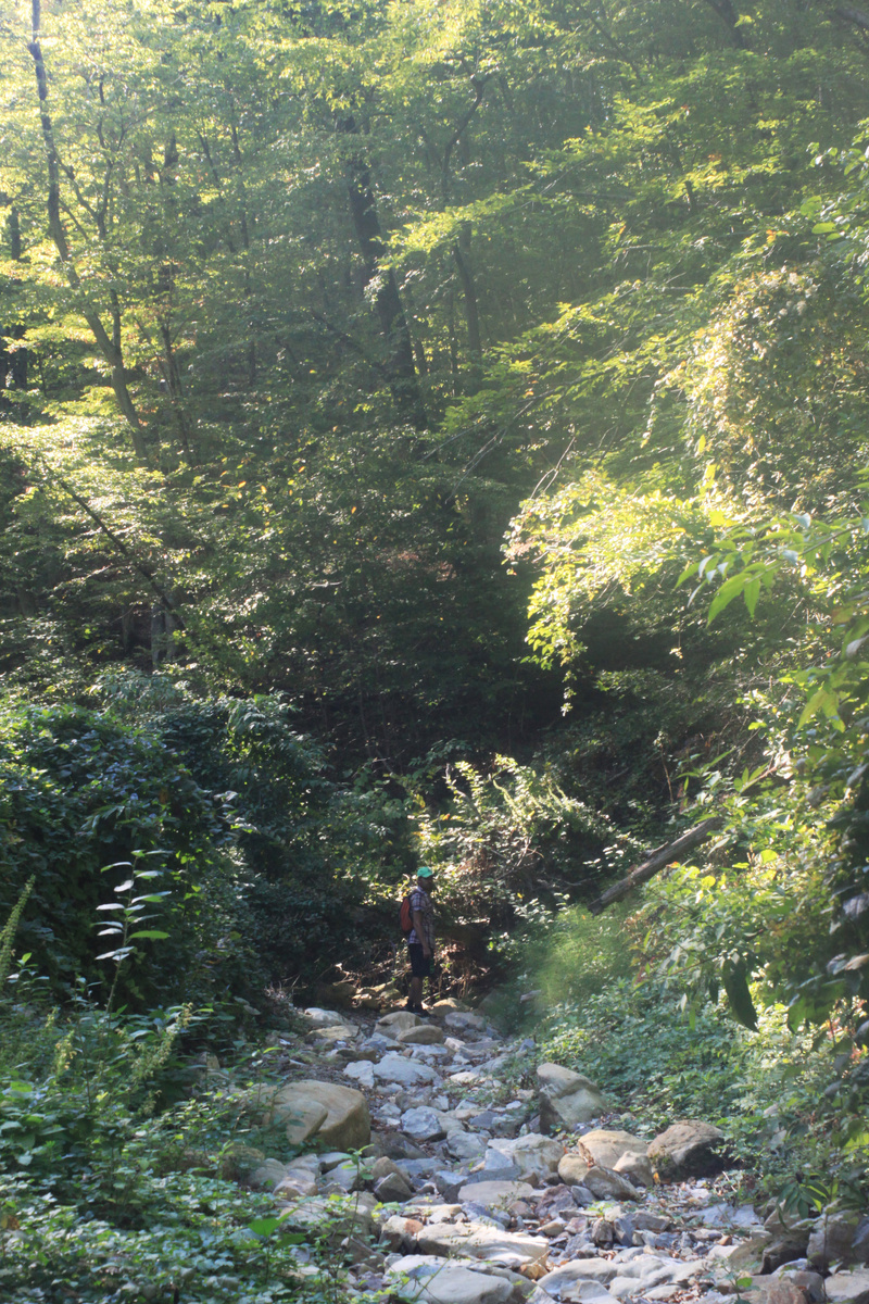 Я в лесу. Фото Эри