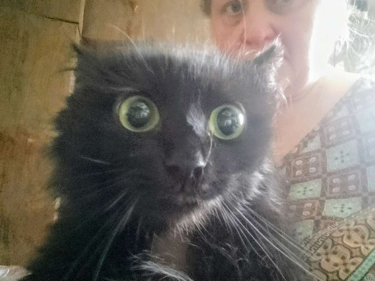 Лада до операции