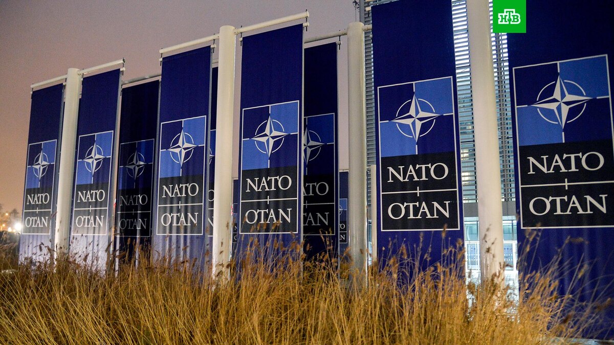    Фото: РИА Новости © 2024, Алексей Витвицкий