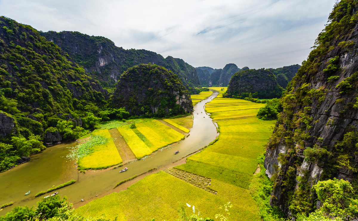 Источник: https://ru.freepik.com/premium-photo/tam-coc-golden-rice-fields_117006471.htm#fromView=search&page=1&position=5&uuid=1d075227-a9ec-453c-a284-b0767bc2037c&query=%D0%B2%D1%8C%D0%B5%D1%82%D0%BD%D0%B0%D0%BC