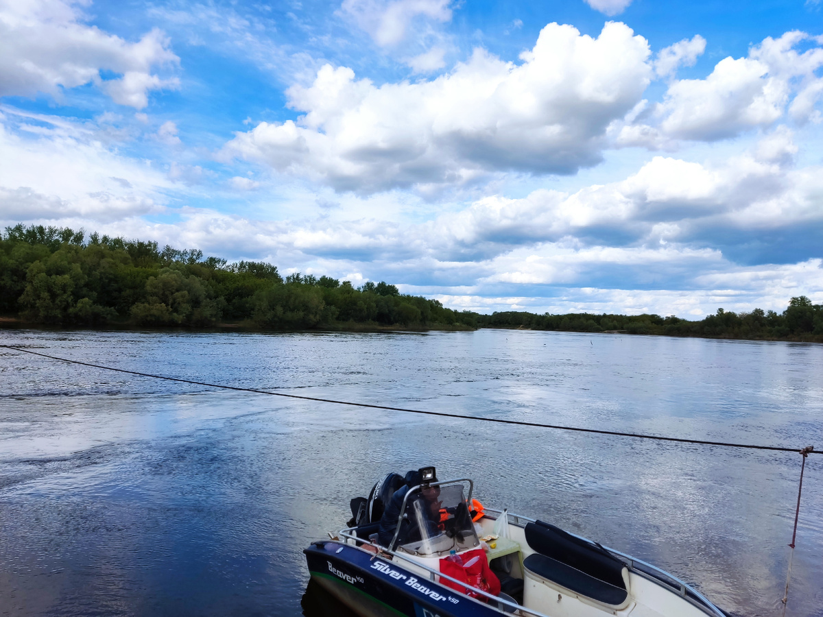 Красивое фото природы 