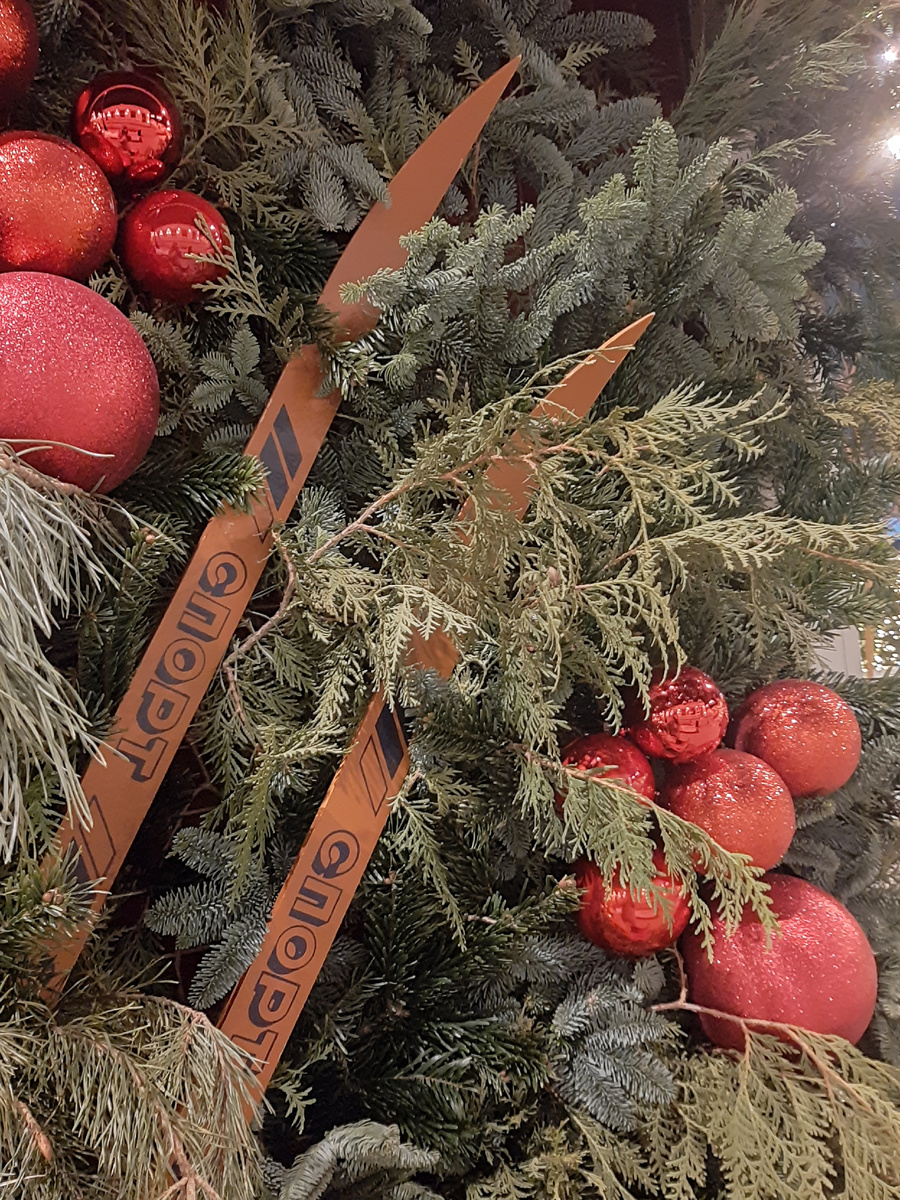 Лыжи в жизни... 