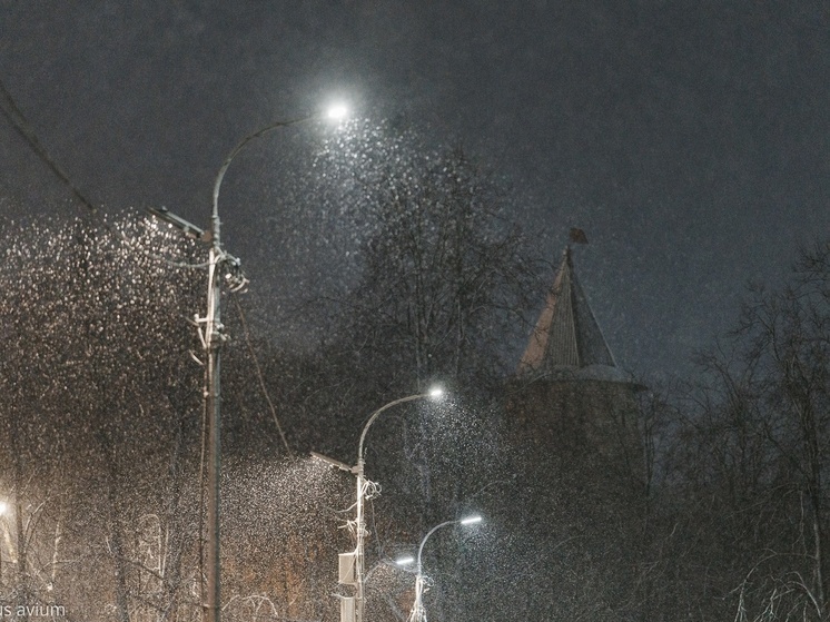     Фото: cerasus avium