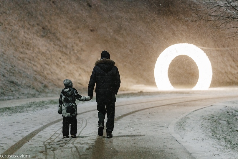     Фото: cerasus avium