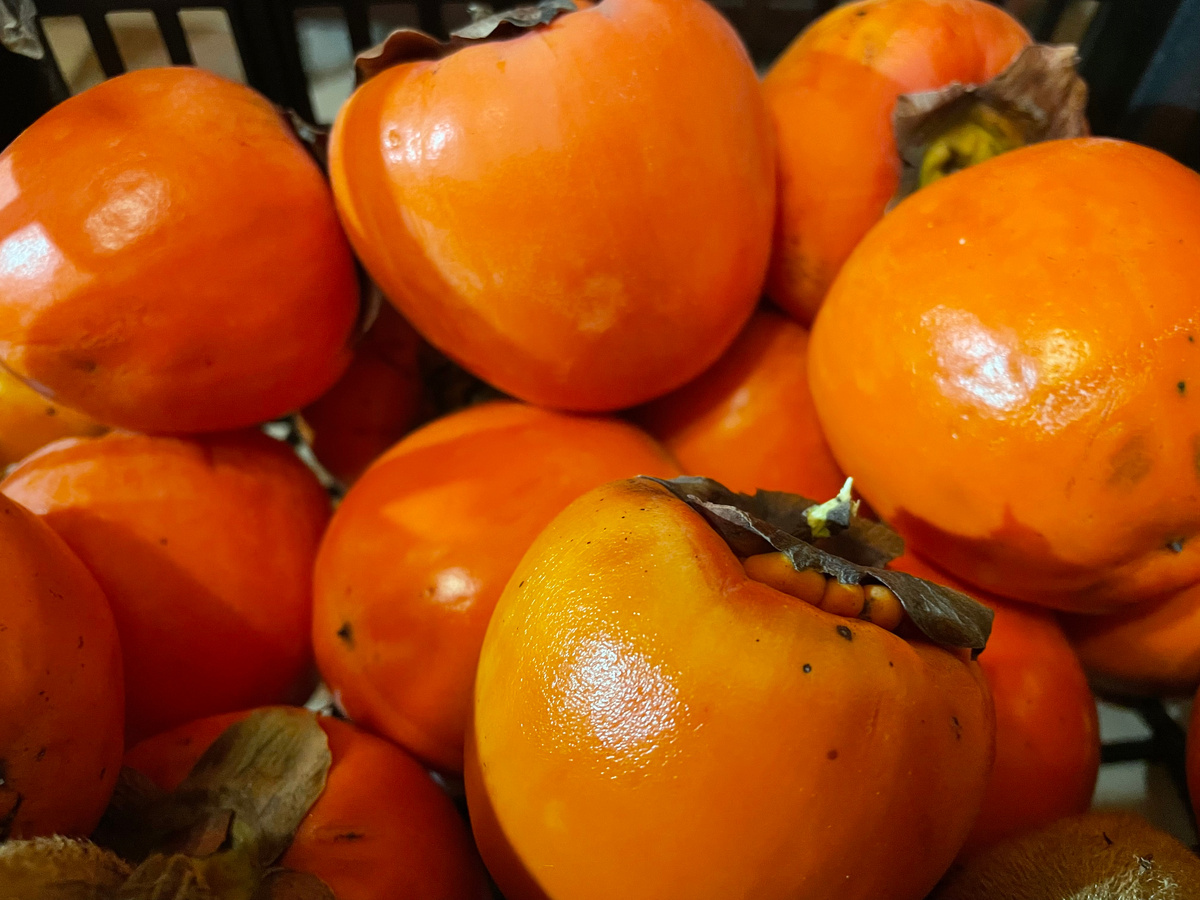 Это наш урожай, который я собрала всего пару дней назад. Выросло из той самой косточки