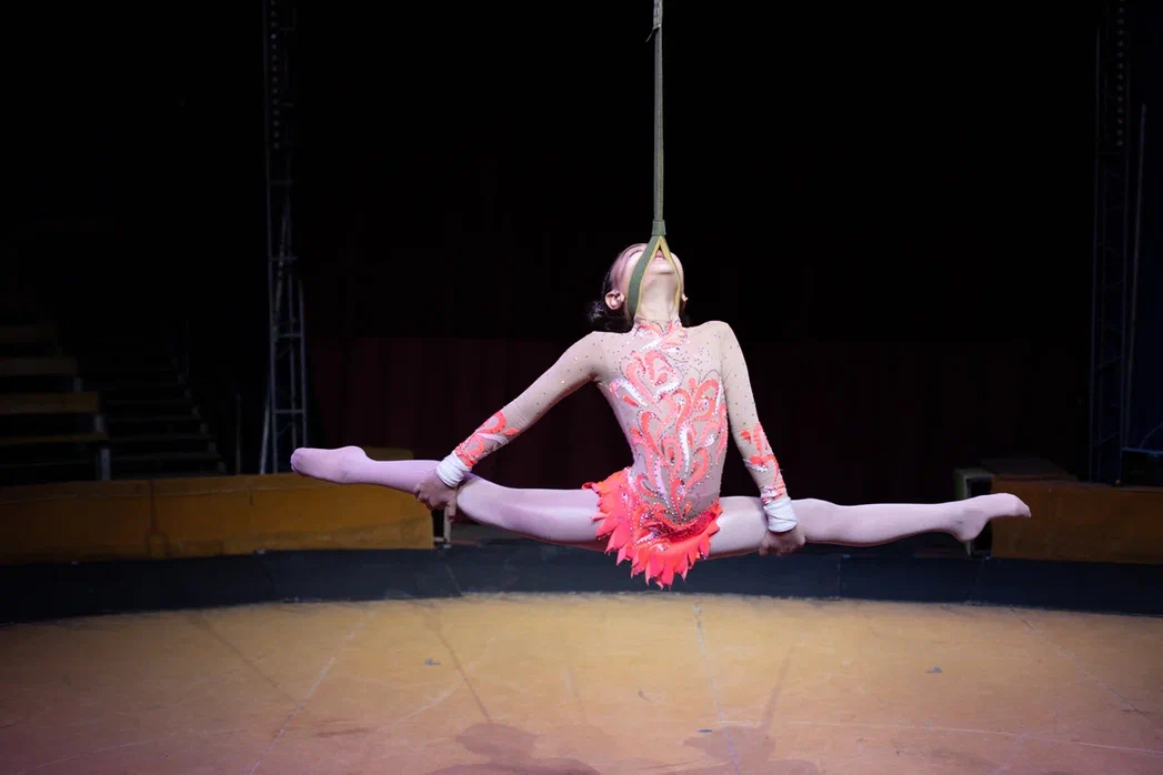 Фото Росгосцирка