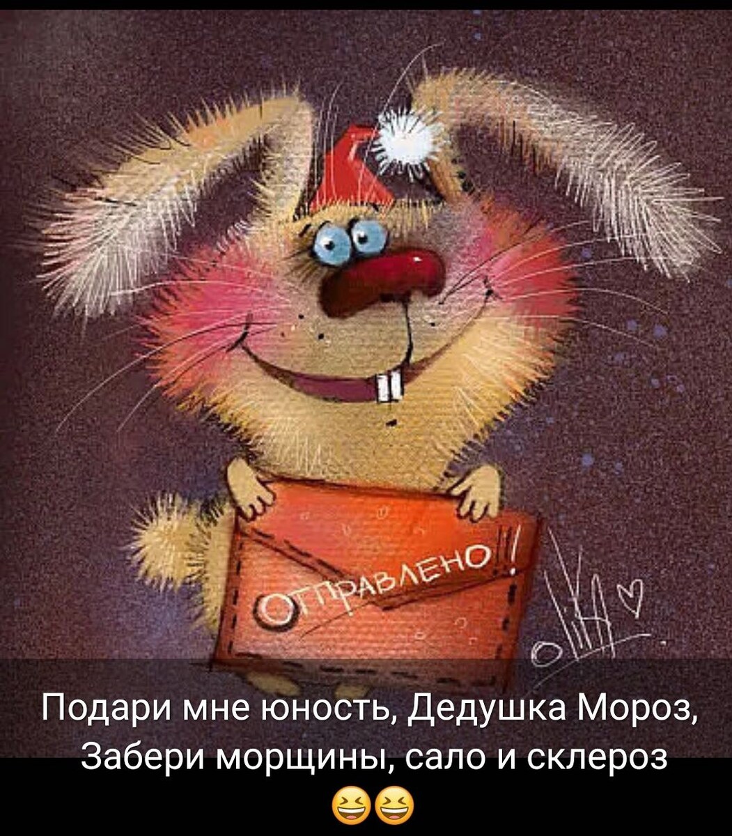 Фото из интернета.