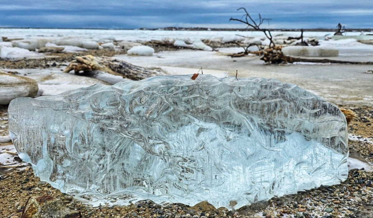 Фото: Юлии Егоровой