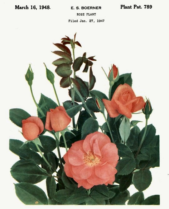 ‘Fashion’ (Мода), Boerner, 1947 год