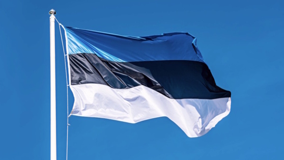    Эстония не будет помогать Сирии деньгами, если она сохранит российские базы Егор Гордеев