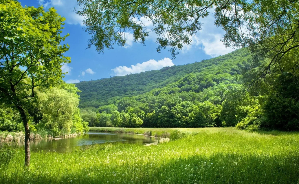 В единении с природой, мы находимся наедине с самими собой 🙏