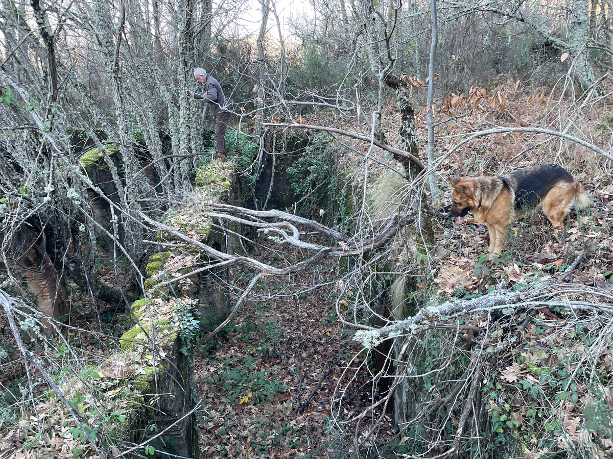 А это мы пришли уже вдвоем, да еще и с собакой