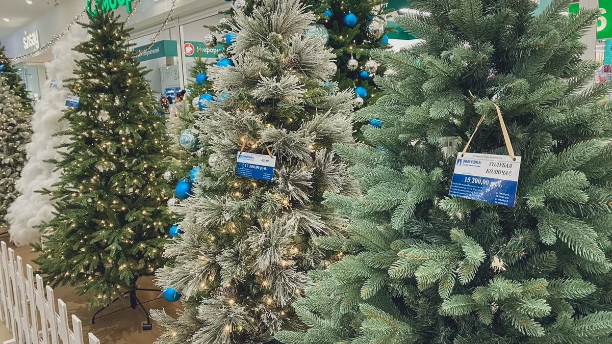 Выбрать хорошую елку несложно, были бы деньги! Источник: 1MI