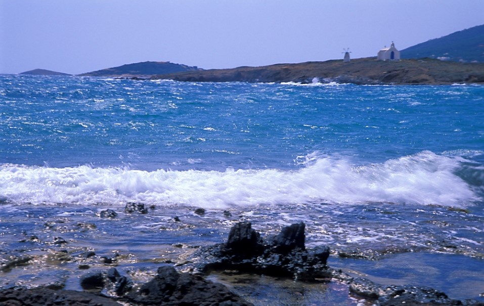    Фото: Serguei Fomine/Russian Look/Globallookpress