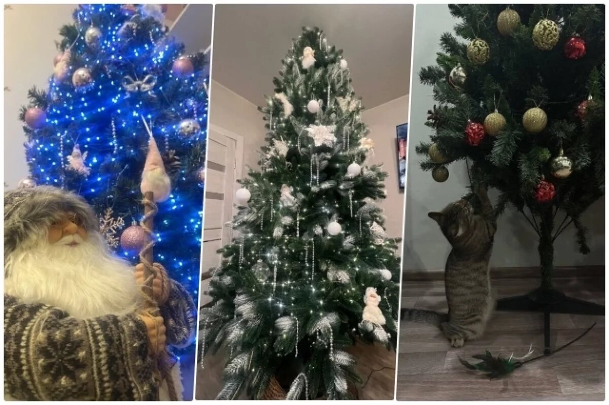    Новосибирцы делятся фотографиями своих нарядных новогодних ёлочек