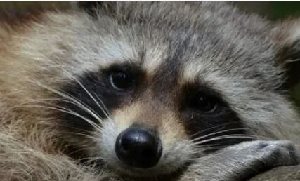 Дайте-ка я на вас посмотрю повнимательнее))