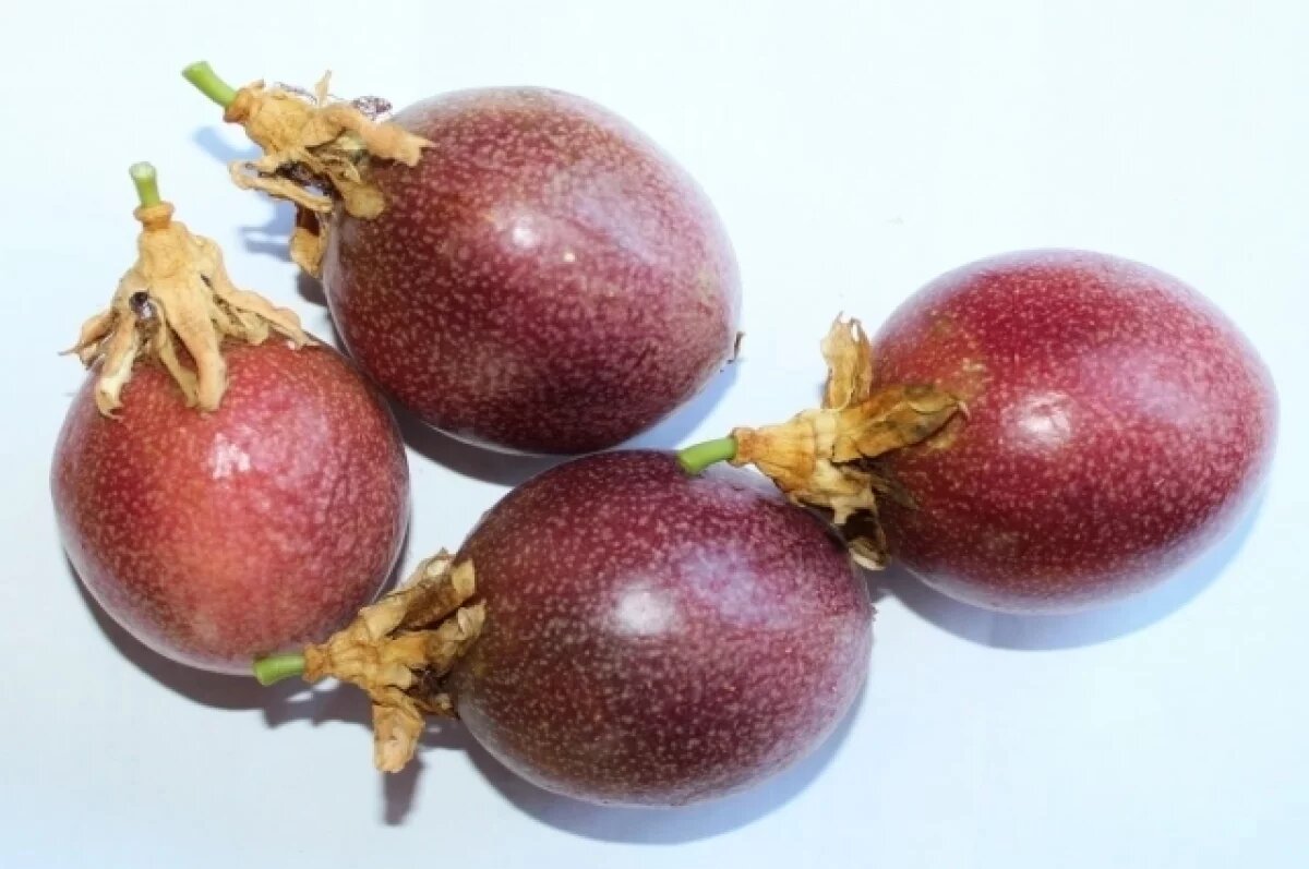    В Роспотребнадзоре рассказали, чем полезна маракуйя и как её выбрать