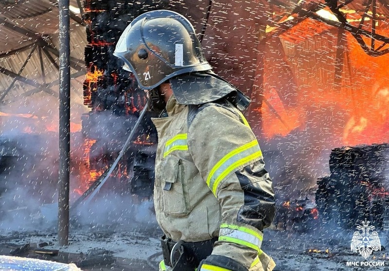 Фото: пресс-служба МЧС РФ