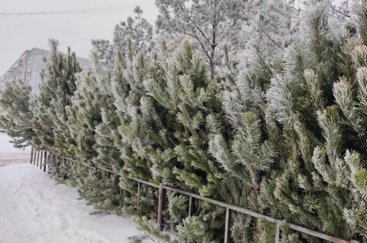    В Башкирии ожидаются температурные качели от 0 до -20°