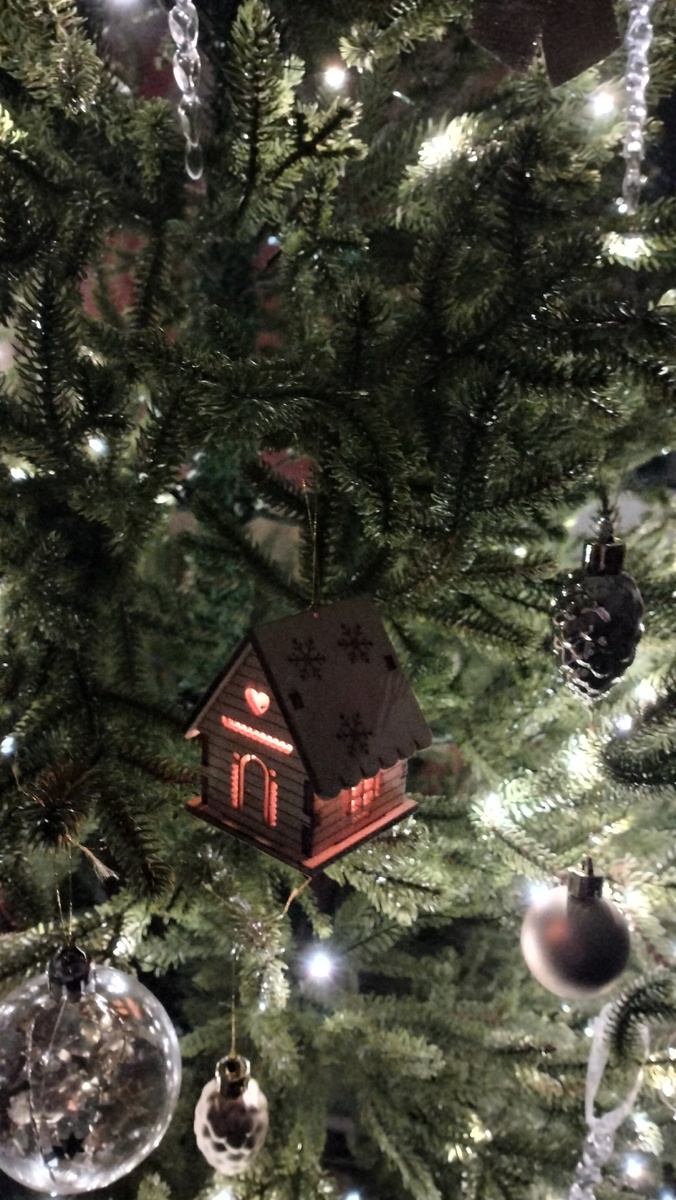 Сделала фото с утра по быстрому.