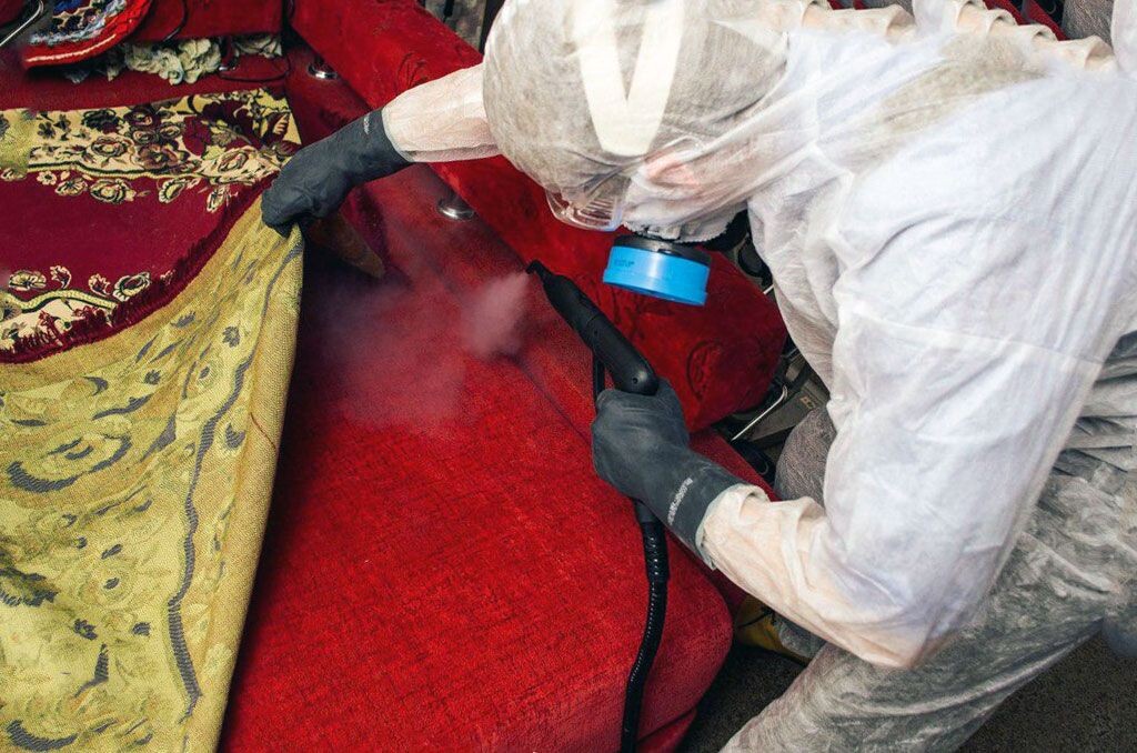 Плесень на одежде и текстиле: как удалить и предотвратить