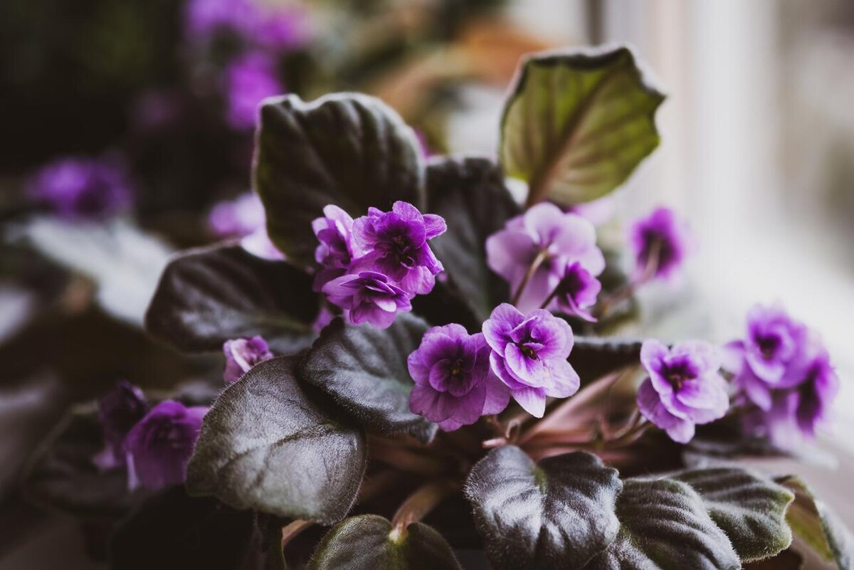     123RF/legion-media.ru