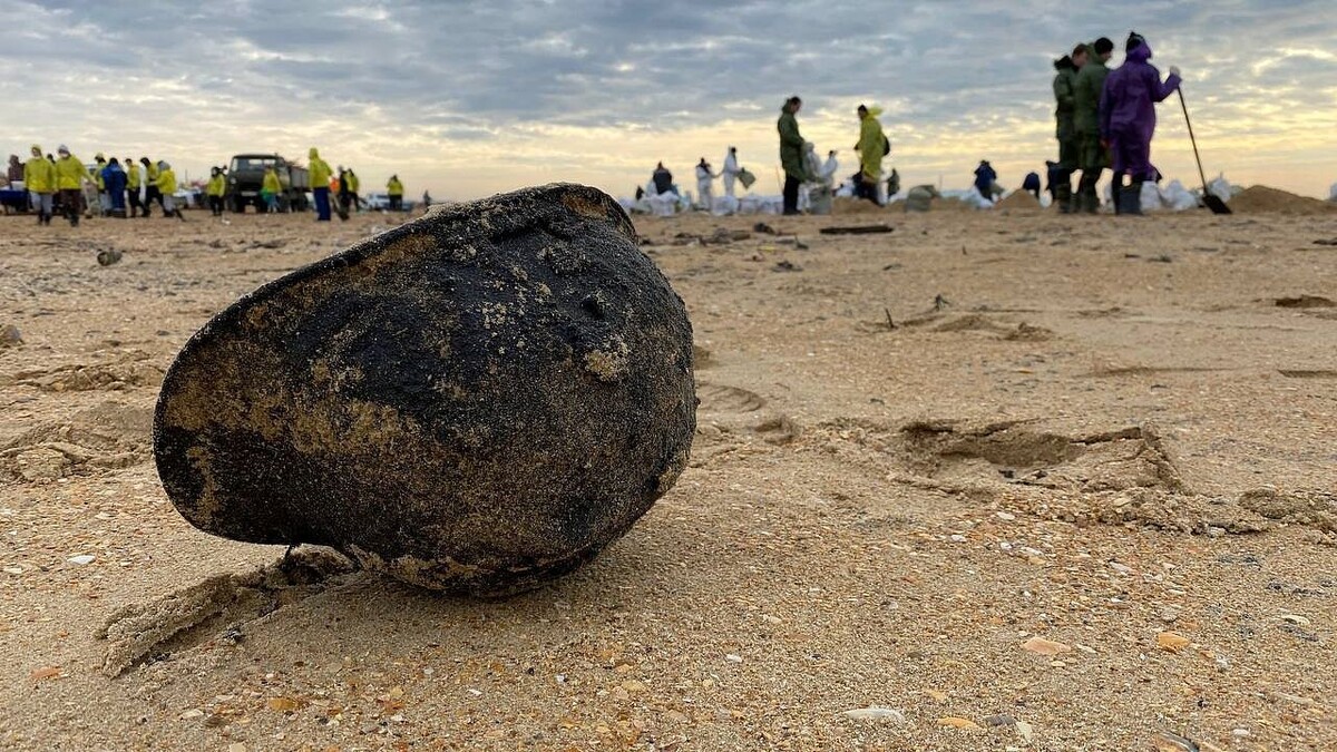    Фото: телеканал «Краснодар»