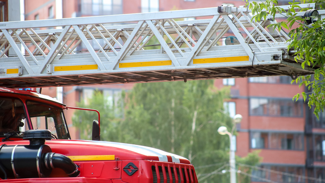    Elena Mayorova/Global Look Press