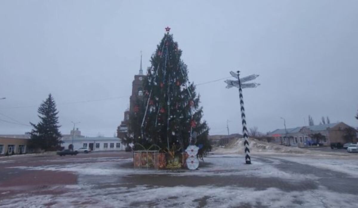     Ёлка из Бутурлиновки. Источник: vestivrn.ru Автор фото: "Вести Воронеж"