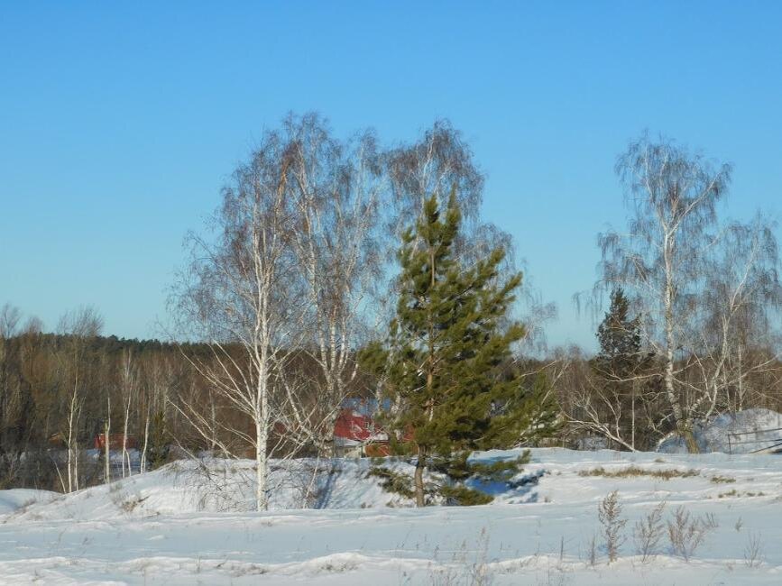    Фотография Анны Зубаревой