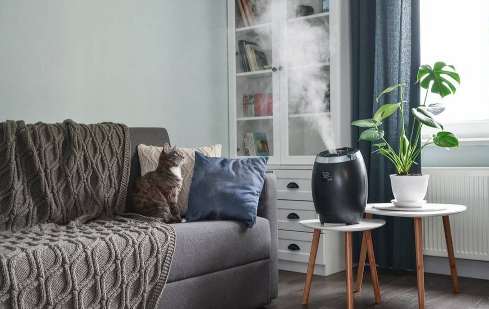 Фото: breathebetterair.org